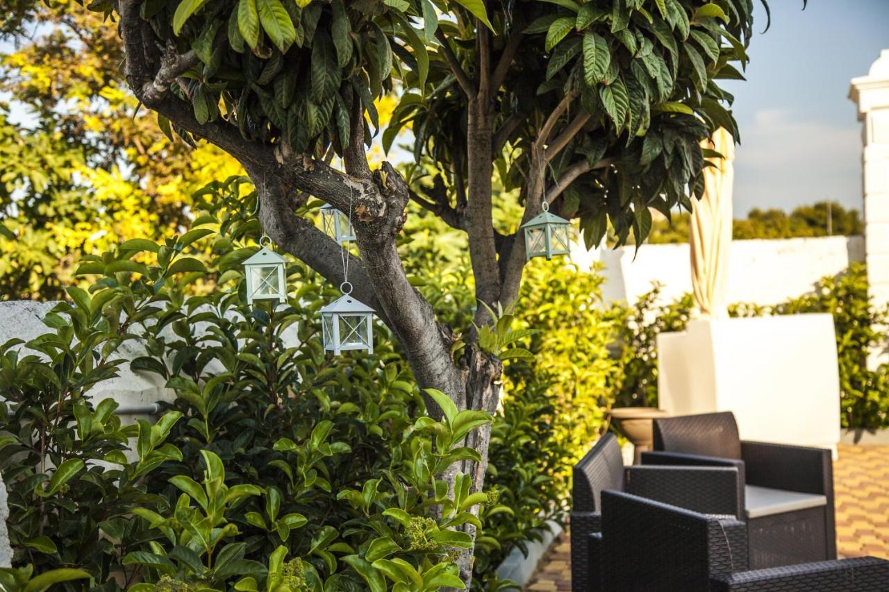 Villa Adelaide Suite & Room 托雷阿马莱 外观 照片